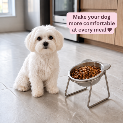 Tailora Elevated Dog Bowl