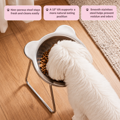 Tailora Elevated Dog Bowl